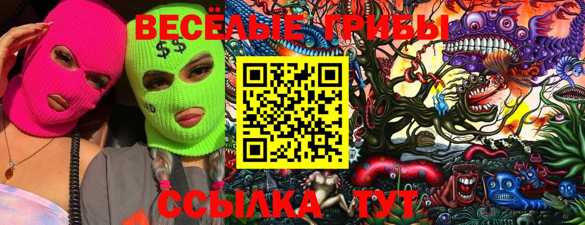 Галлюциногенные грибы GOLDEN TEACHER  Вход с VPN  Псилоцибиновые грибы MAGIC MUSHROOMS  Ишим 