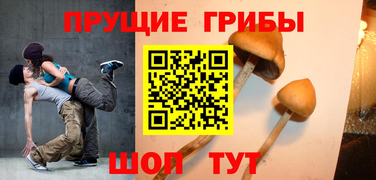 Галлюциногенные грибы мухоморы Ишим