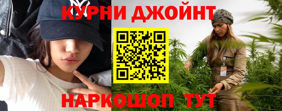 Каннабис планчик Ишим